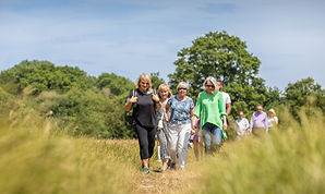 Walk Works Corporate Shoot-40.jpg