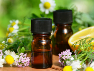 Essential Oils 101: All the Basics You Need to Know!