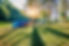 camping-tents-pine-trees-with-sunlight-pang-ung-lake-mae-hong-son-thailand.jpg