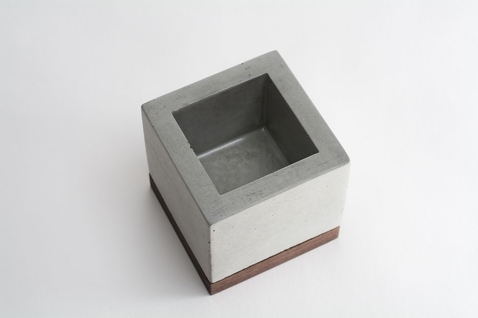 Thumbnail: Walnut and concrete planter