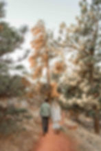Man and woman hold hands while walking down the Crown Rock Trail in Boulder, CO
