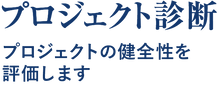 プロジェクト診断-.png