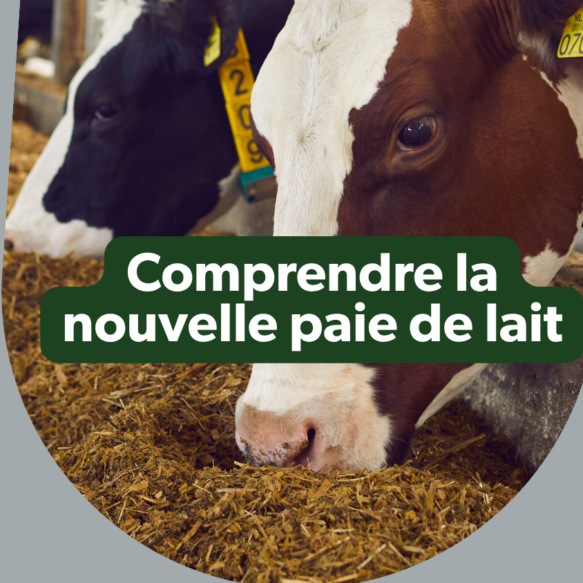 Webinaire express - Nouvelle paie de lait