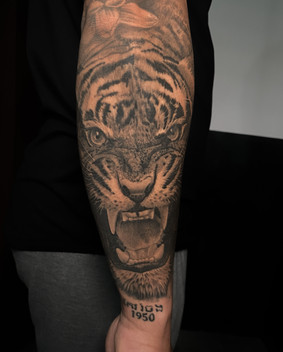 Tatuaj tigru realizat de către Cătălin Soare, artist la SunTattoo Cluj-Napoca
