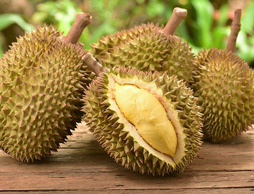 durian 001.jpg