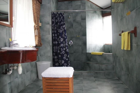 bvr009.jpg