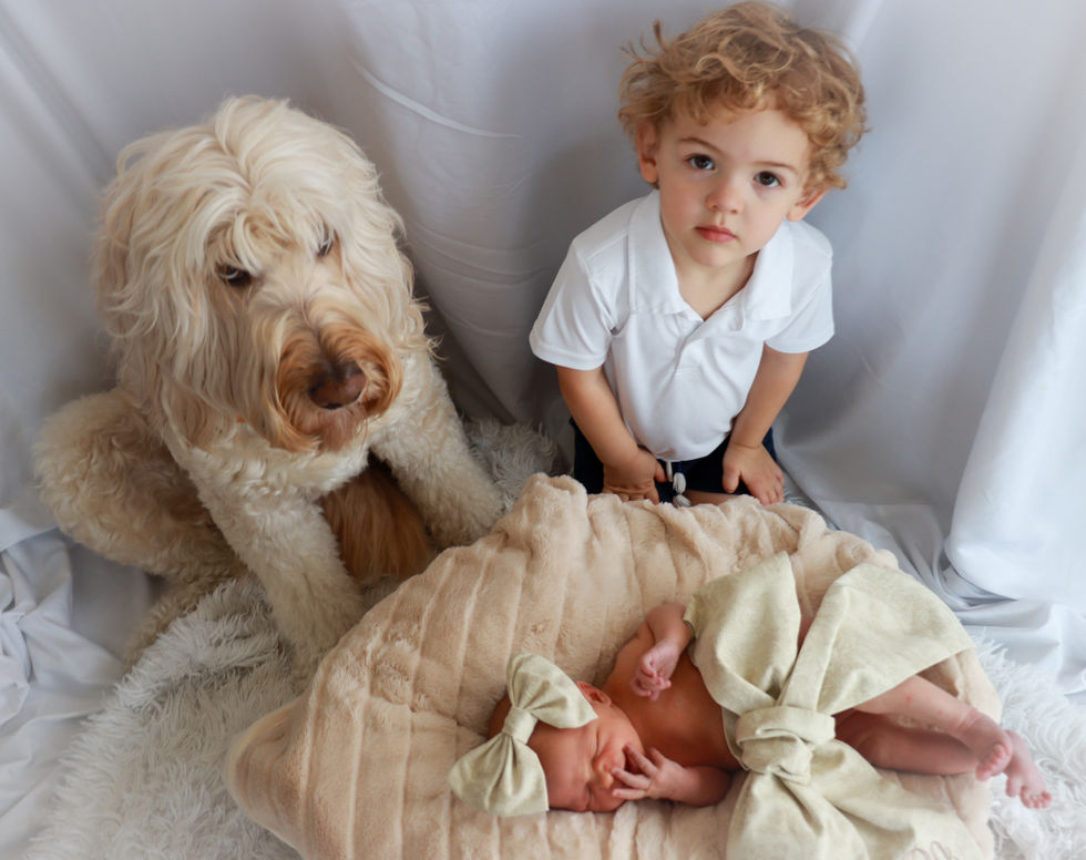 cVMhrfQ-0!largestimage_MaxSize=