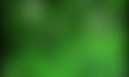 🌿 Black Cohosh: A Sacred Ally for Body, Spirit & Tradition