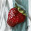 Miniature : La Fraise d'Espagne - Impression sur toile - numérotée, signée, encadrée - 47x47