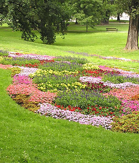 Flower Garden