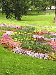 Flower Garden