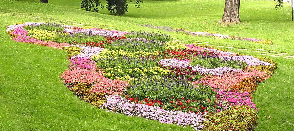 Flower Garden