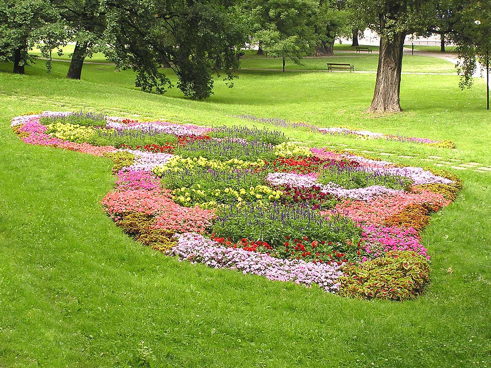 Colorful Flower Bed