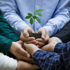 Employee Engagement: The Must-Have for Hitting Sustainability Targets