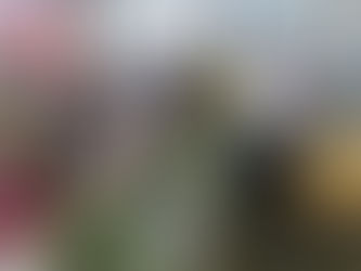 選果場スタッフ（小清水）