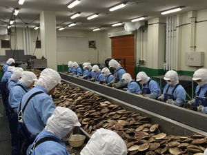 水産加工業務（短期）