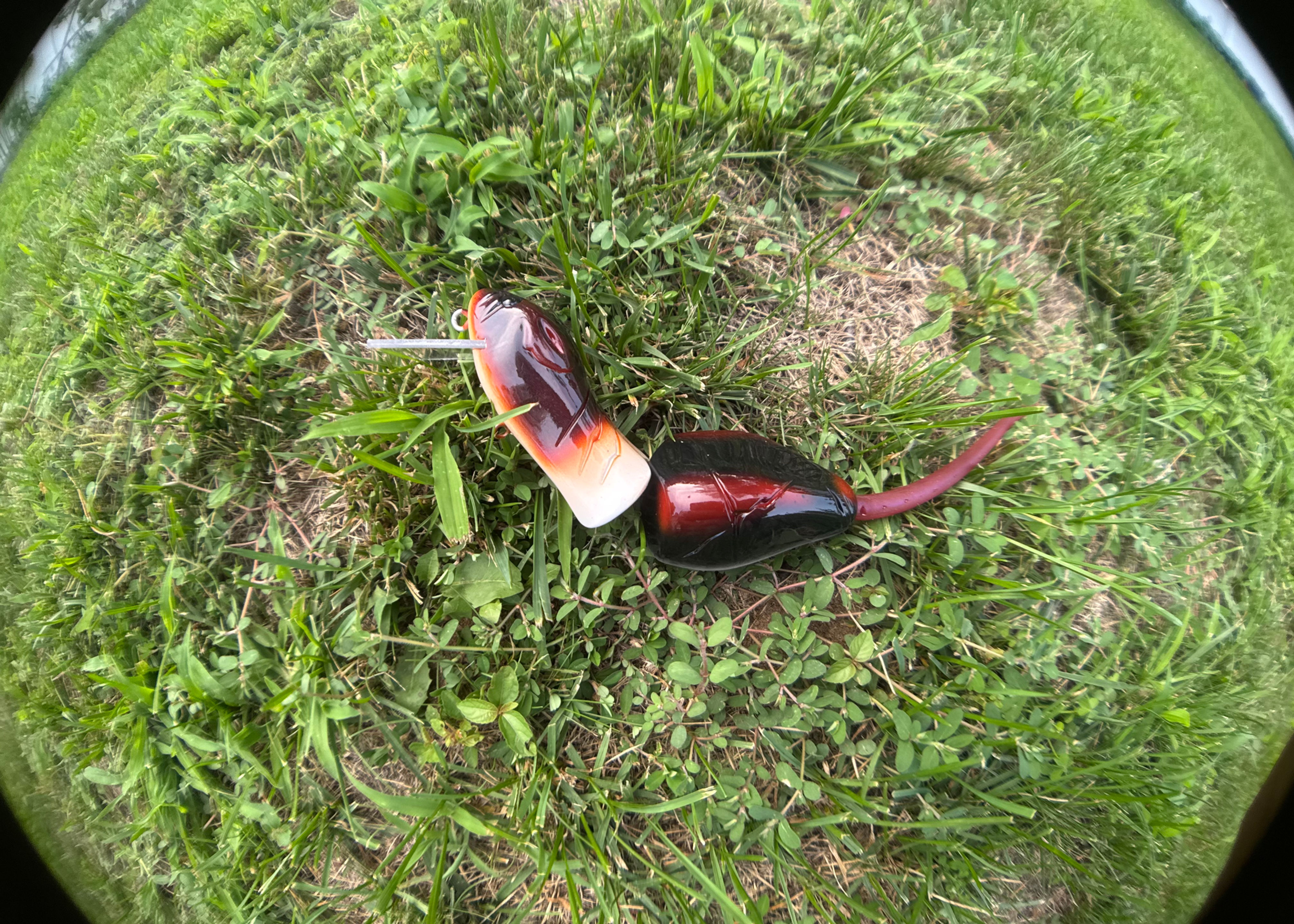 Whiskey Lunker Fighters Zombie Rat 2 Pc