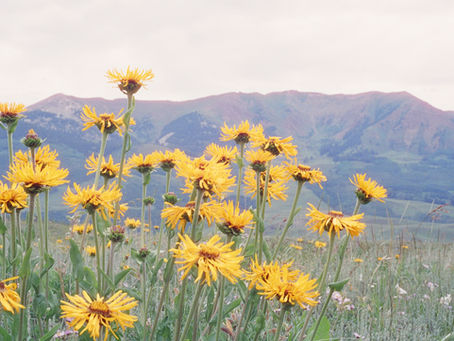 Sustainability: Making Changes