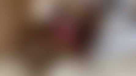 Shella The chihuahua