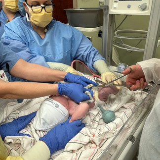 Dad Cutting the Cord - Chelsea Schmidt's Birth