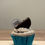 Thumbnail: Chocolate Oreo Cup