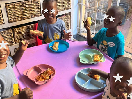 Jan Update on the Baby Homes