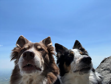 14日ディナータイム貸し切りです