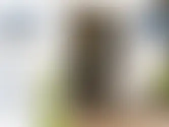 Insektenschutz Drehtür ohne Bohren an einer Terrassentür mit Aluminiumrahmen und Fliegengittergewebe