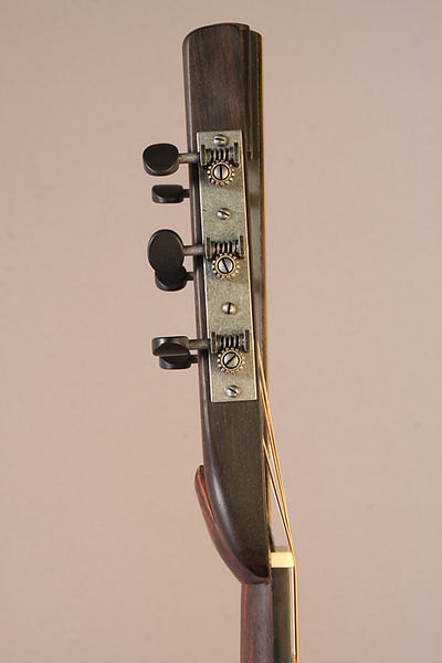 Raga, acoustic bowl-back guitar by Thierry André