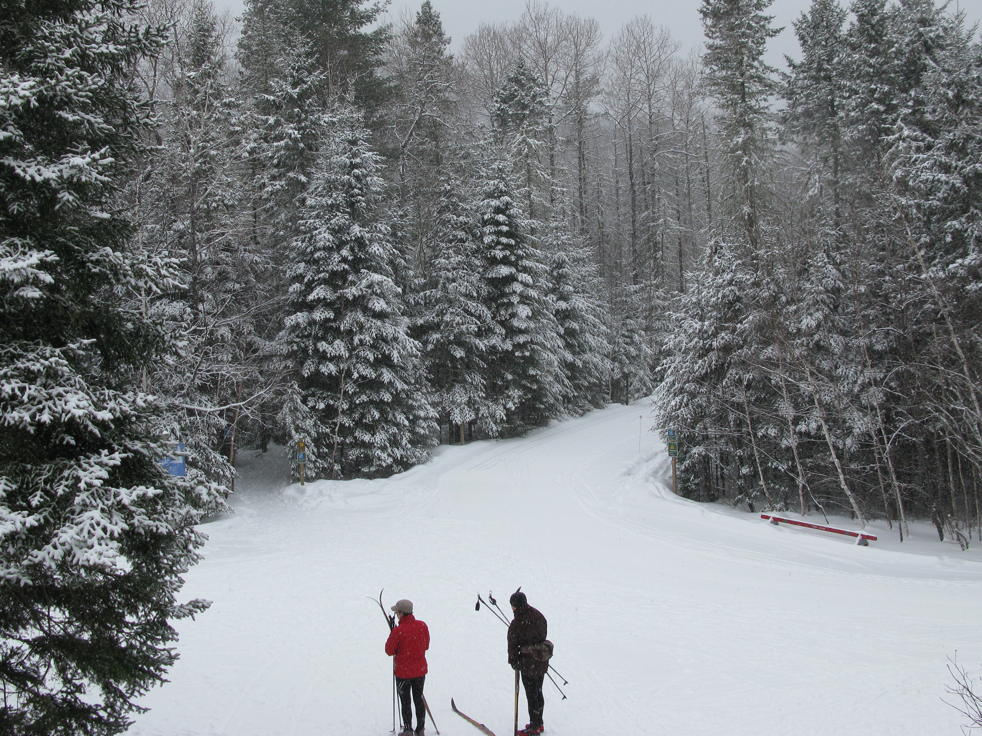 Ski de fond et raquette
