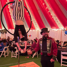 LED Lollipop Lyra Aerialist Entertainment Sacramento Hoop Circus