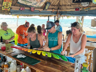 The Flight of the Toucan — A Toucan Jacks Original