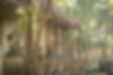OUTSIDE VIEW JUNGLE HOUSE