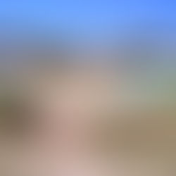 Communiqué du 24 janvier 2024 : Quelles suites après les déclarations du préfet de l’Aude contre le projet de golf et d'immobilier ?