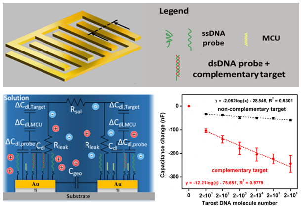 Biosensors and Bioelectronics 87 (2017) 646–653