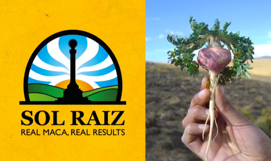 Sol Raiz maca logo in orange background and a hand holding a maca root