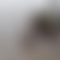 Exploring Motion with Shutter Speeds