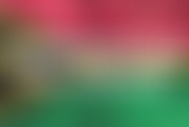 瓦努亞圖護照登記新措施：申請人必須親自登陸