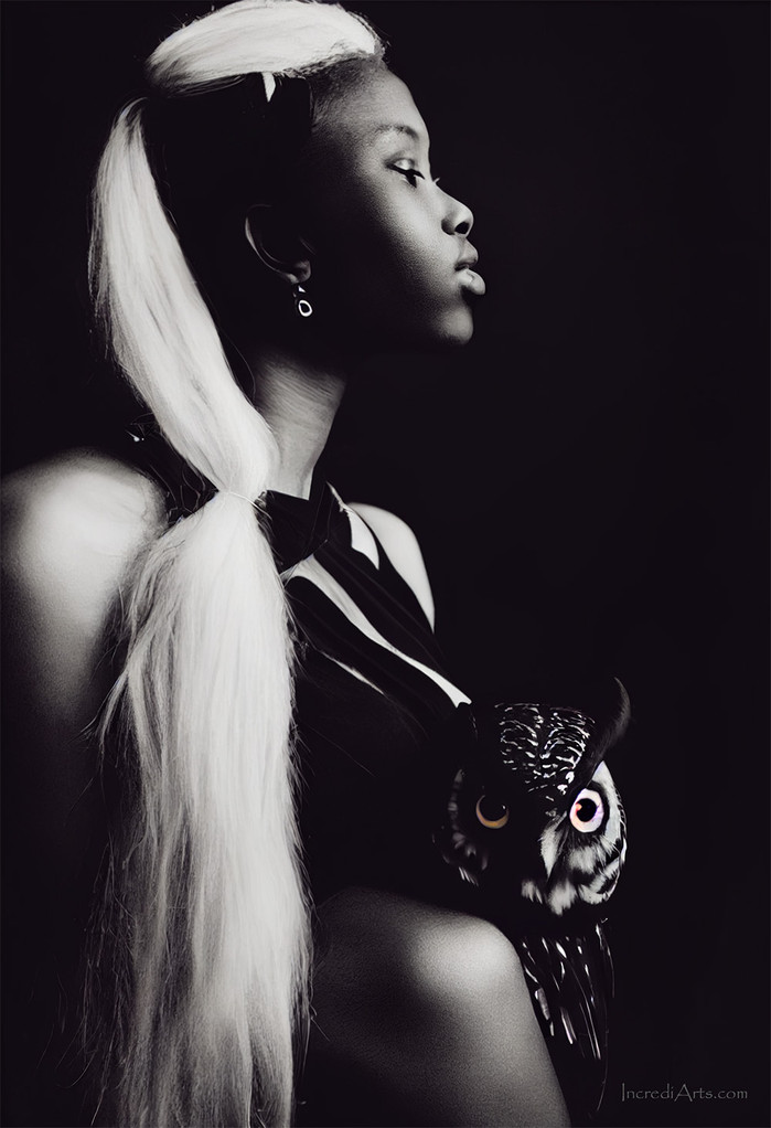 Lady Owl