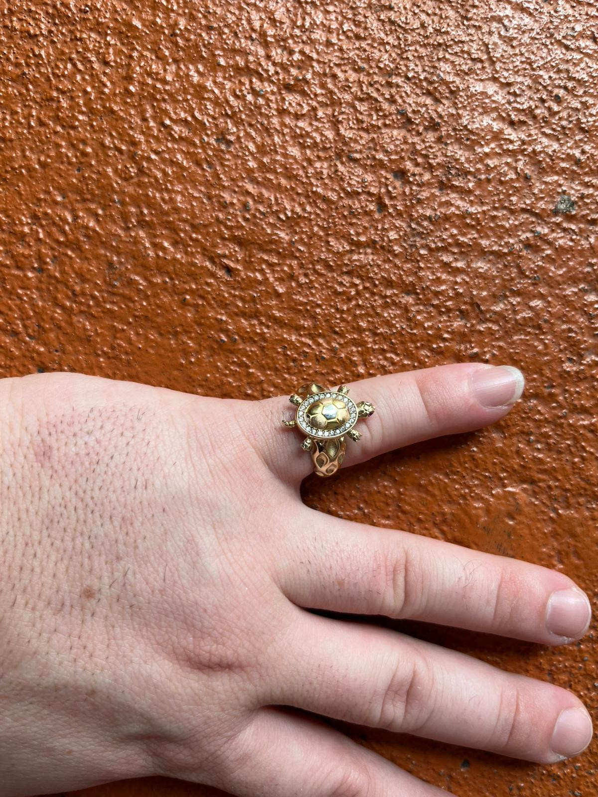 Anillo d tortuga