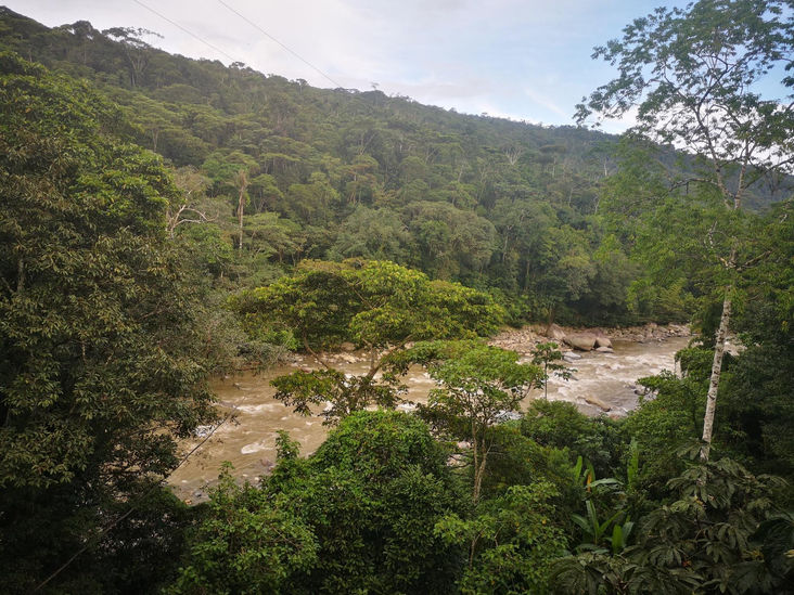 Ayahuasca Retreat Center in Putomayo Colombia by Holistika Center.jpg