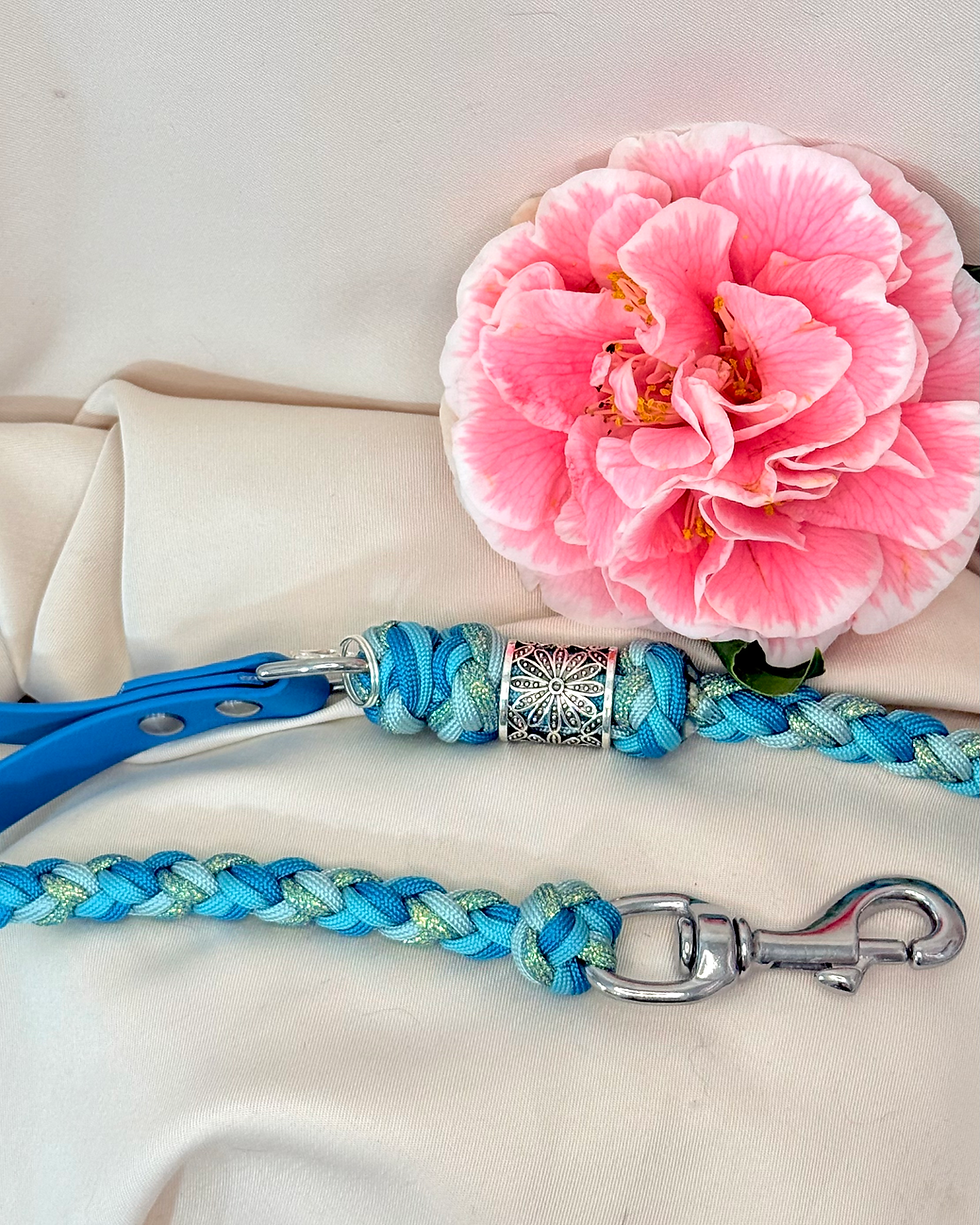 Miniature : Ensemble DINA