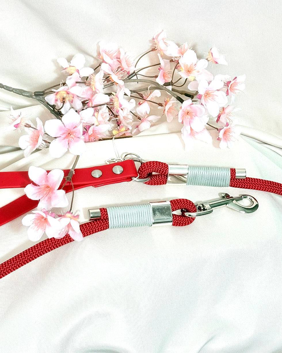 Miniature : Ensemble ROXANE
