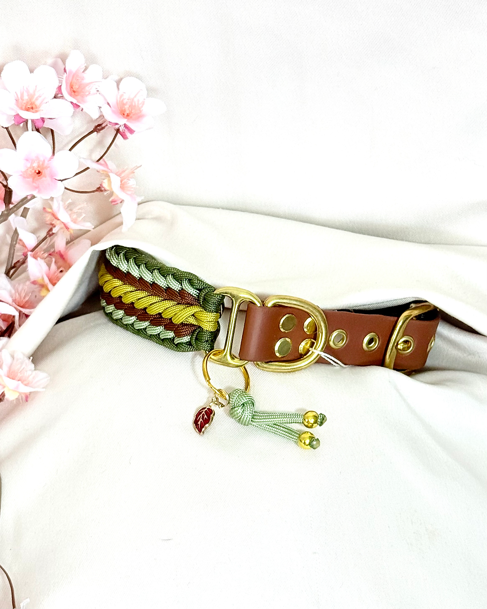 Miniature : Ensemble TOPAZE