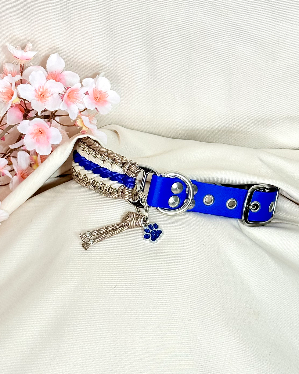 Miniature : Ensemble TOPAZE