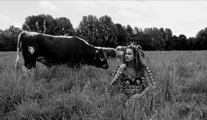 Screenshot 2021-10-16 at 13.36.02.jpeg