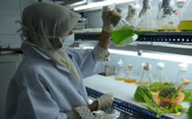Phytochemistry-Lab_-How-to-Identify-the-