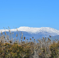 DSC_0458 2 4.jpg