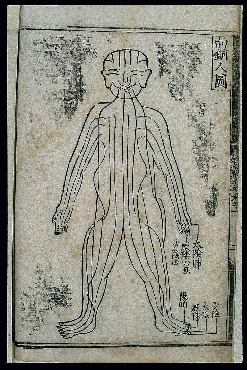 Bronze_Man_acupuncture_figurine,_front_v