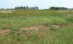 Prix: 350.000.000F CFA